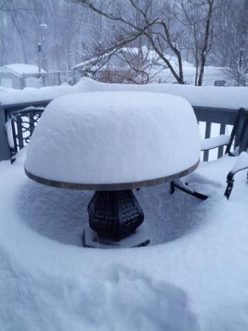 post-11807-0-47395700-1392296788_thumb.j