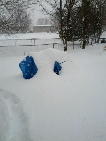 post-11807-0-48669500-1392296787_thumb.j