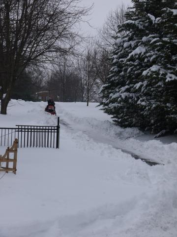 post-11807-0-99299200-1392311988_thumb.j