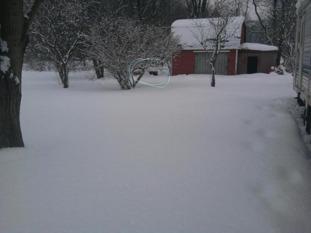 post-1982-0-11609300-1391958112_thumb.jp