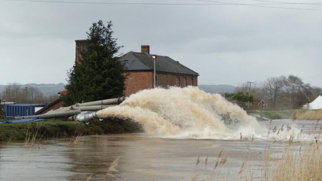 post-2119-0-23269800-1392052543_thumb.jp