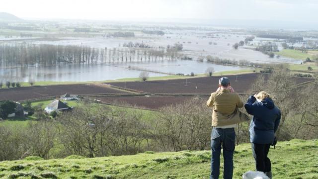 post-2119-0-66386600-1392052630_thumb.jp