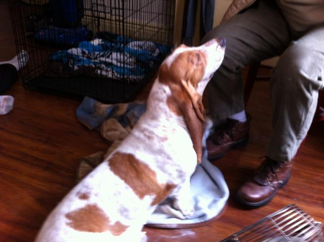 post-2380-0-27935800-1392503938_thumb.jp