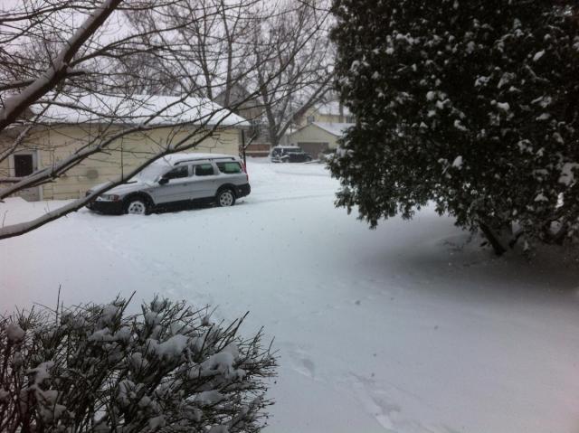 post-2380-0-68641800-1391646011_thumb.jp