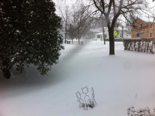 post-2380-0-80608500-1391646042_thumb.jp