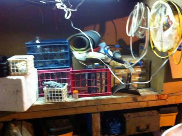 post-2380-0-87064800-1393029136_thumb.jp