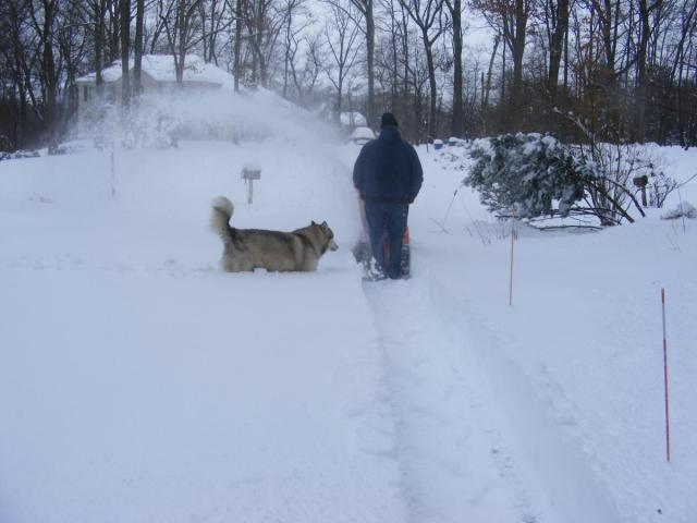 post-3066-0-01669000-1392323798_thumb.jp