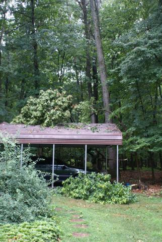 post-3066-0-11234500-1391896339_thumb.jp