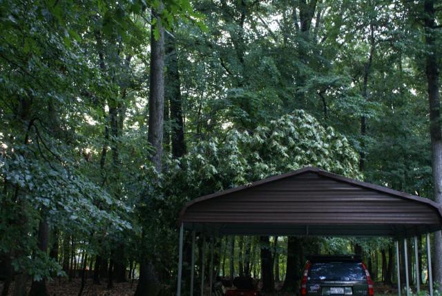 post-3066-0-31758600-1391896276_thumb.jp