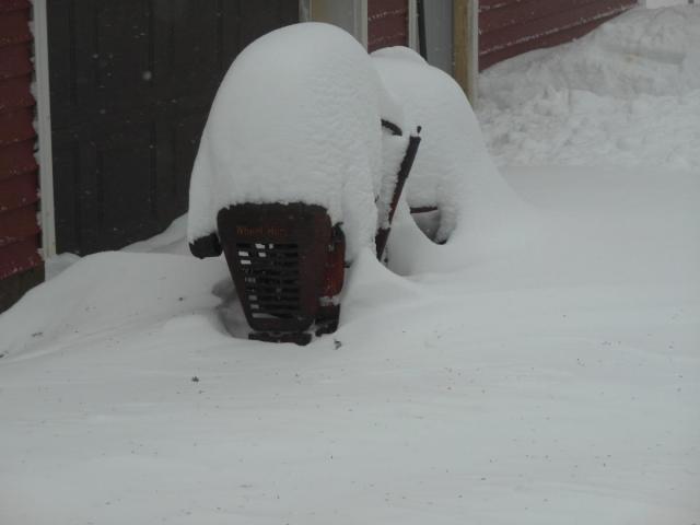 post-4240-0-68104900-1392031900_thumb.jp