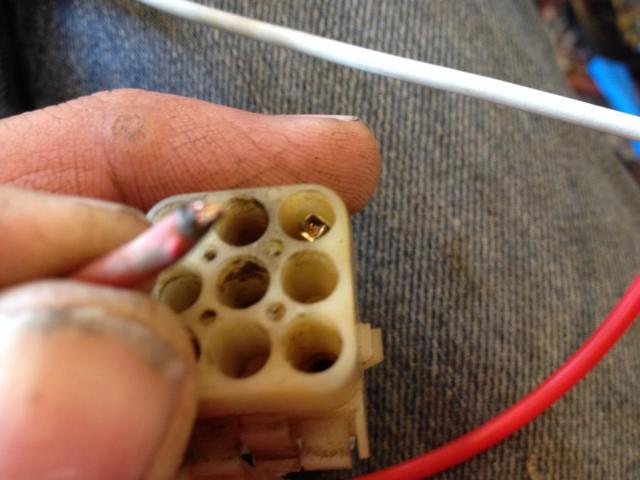 post-4321-0-85694600-1393108072_thumb.jp