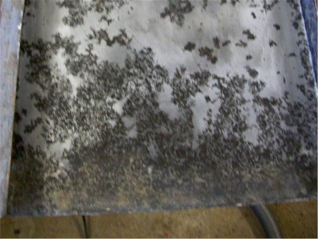 post-4509-0-15359200-1391627495_thumb.jp