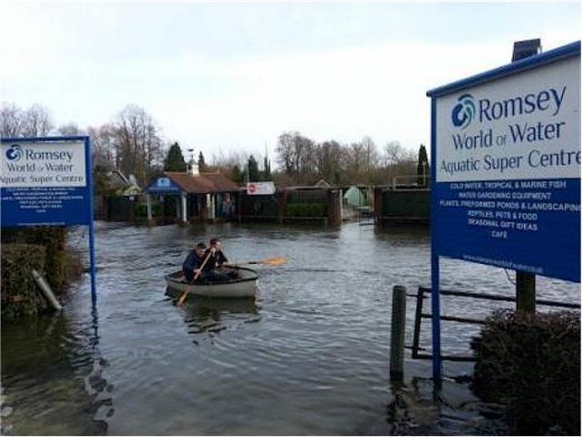 post-4509-0-65147800-1392422633_thumb.jp