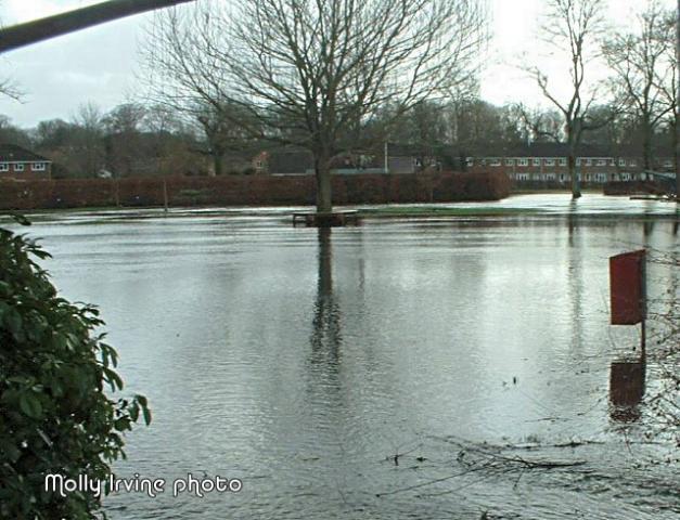 post-4509-0-72709500-1391899164_thumb.jp