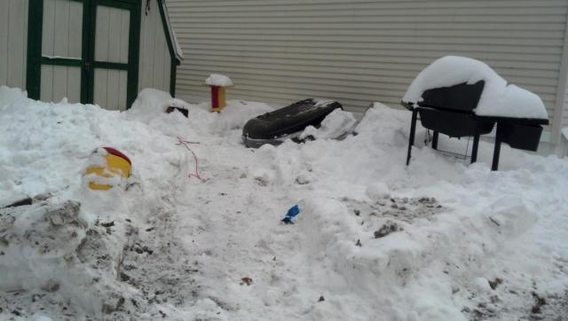 post-4531-0-56028700-1391795479_thumb.jp