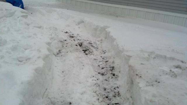 post-4531-0-89310400-1391795454_thumb.jp