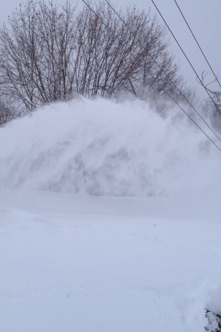 post-6085-0-14982500-1392352555_thumb.pn