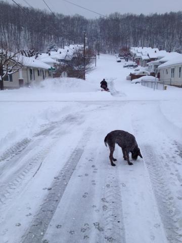 post-6085-0-24063500-1392352482_thumb.jp