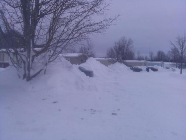 post-6649-0-38530100-1391640877_thumb.jp