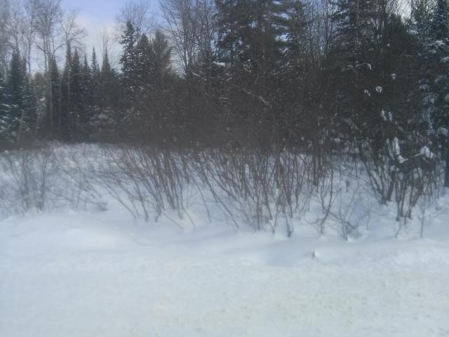 post-6649-0-60198500-1391640777_thumb.jp