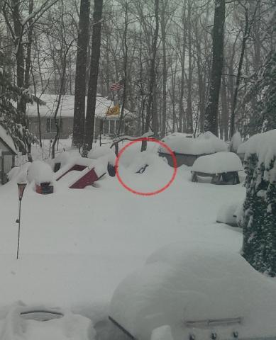 post-6714-0-28322300-1392784377_thumb.jp