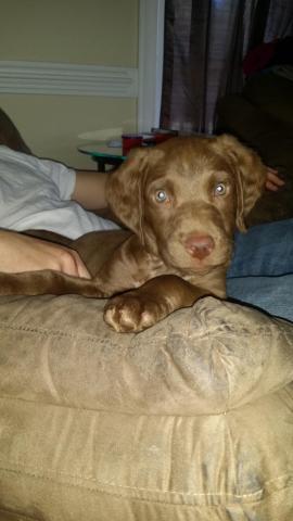 post-10214-0-06331900-1424018690_thumb.j