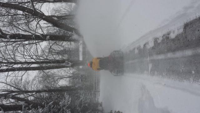 post-12073-0-31349900-1424185370_thumb.j