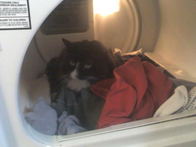 post-12527-0-54020800-1424271217_thumb.j