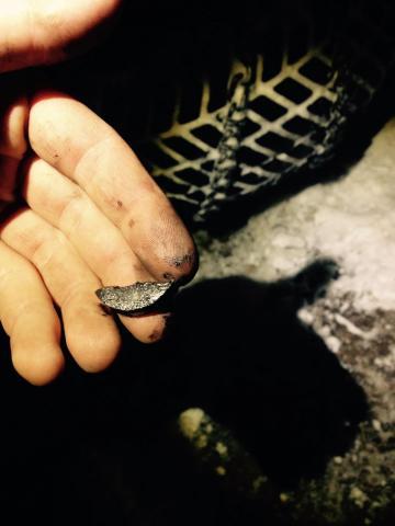 post-14173-0-60507300-1423533068_thumb.j