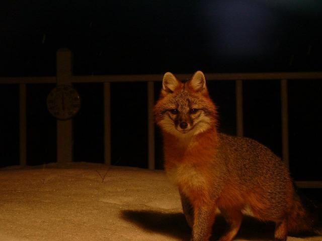 post-14275-0-06265000-1424466216_thumb.j