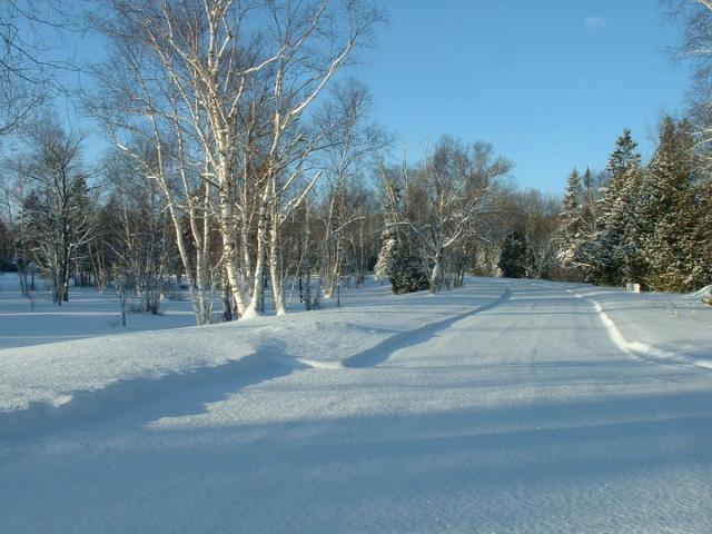 post-14275-0-12931400-1424466716_thumb.j