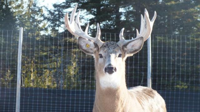 post-14275-0-15826900-1424464791_thumb.j