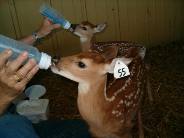 post-14275-0-48728100-1424464344_thumb.j