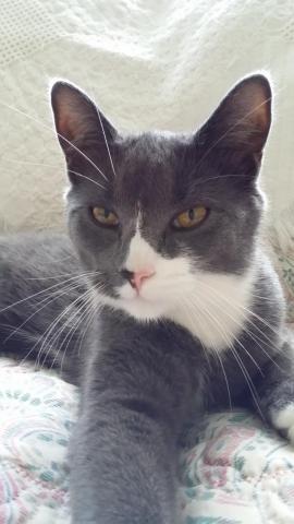 post-1597-0-26518100-1424107469_thumb.jp