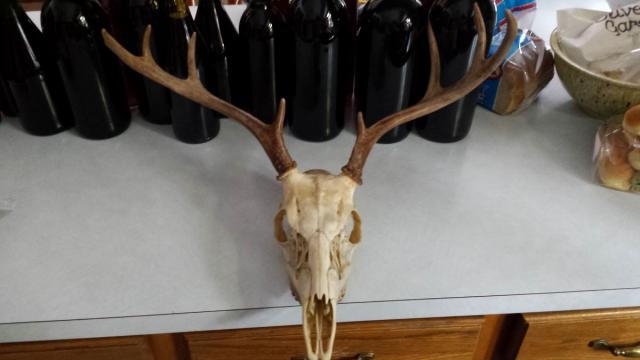 post-1933-0-37249600-1423788900_thumb.jp