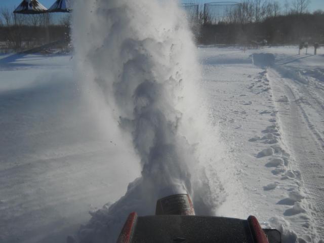 post-1982-0-10094500-1422891922_thumb.jp