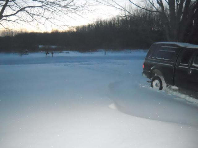 post-1982-0-81473200-1422881505_thumb.jp