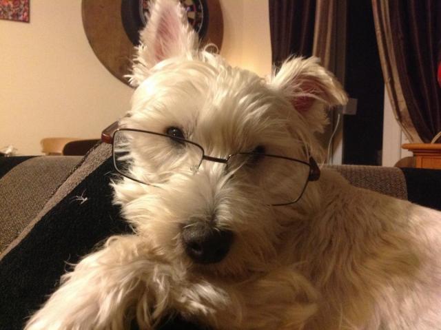 post-2119-0-06341200-1424022820_thumb.jp