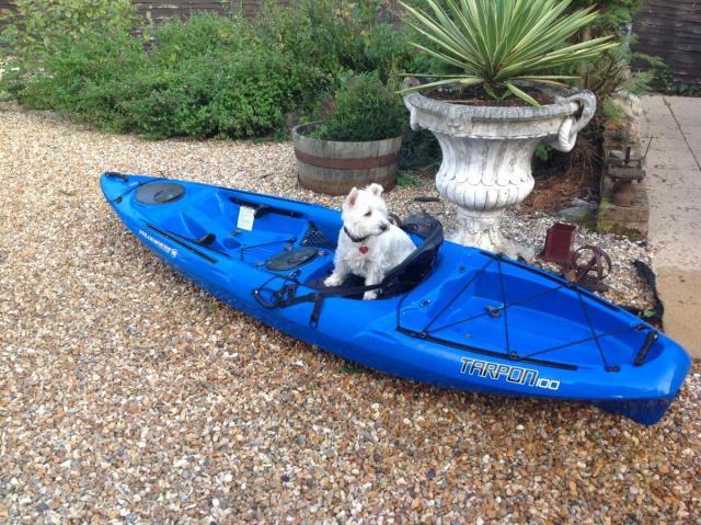 post-2119-0-40033300-1424022875_thumb.jp