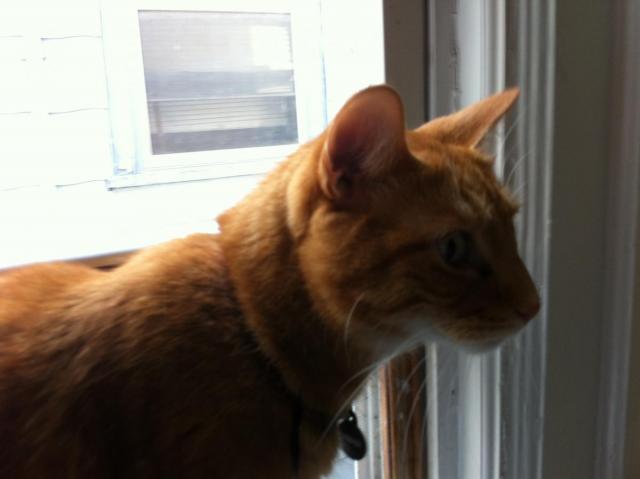 post-2380-0-08842100-1424559063_thumb.jp