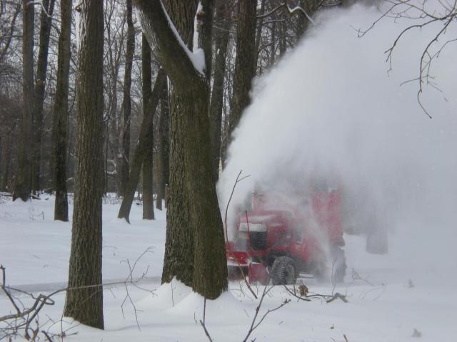 post-3066-0-87021000-1424191612_thumb.jp