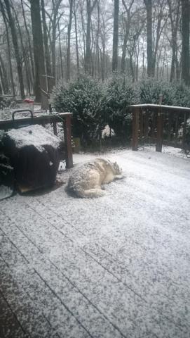 post-3066-0-97367600-1424128835_thumb.jp