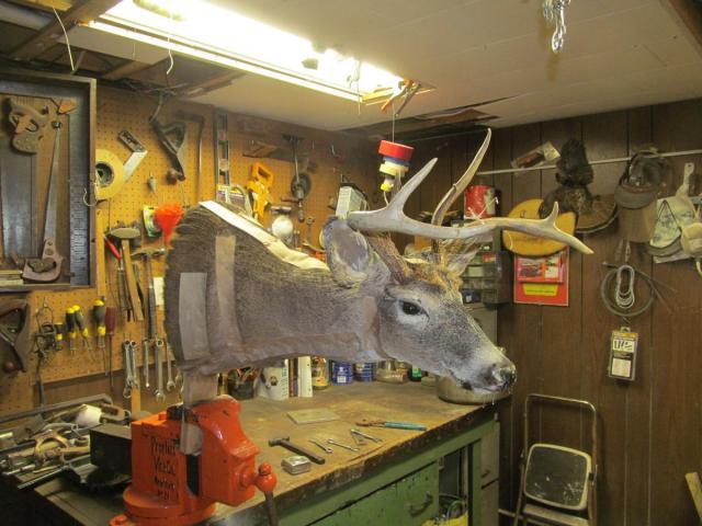 post-7208-0-36633500-1423786683_thumb.jp