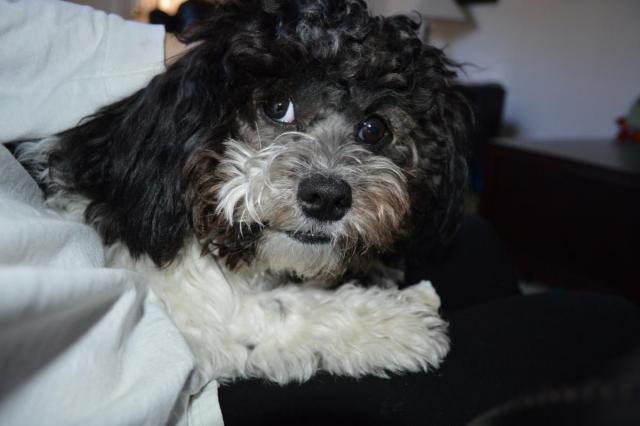 post-8253-0-60961600-1424470036_thumb.jp