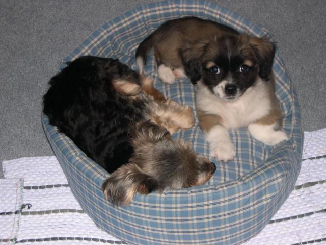 post-8408-0-92589000-1424289931_thumb.jp