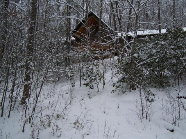 post-8798-0-38873900-1424980889_thumb.jp