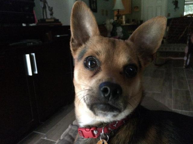 post-9187-0-01159800-1424035805_thumb.jp