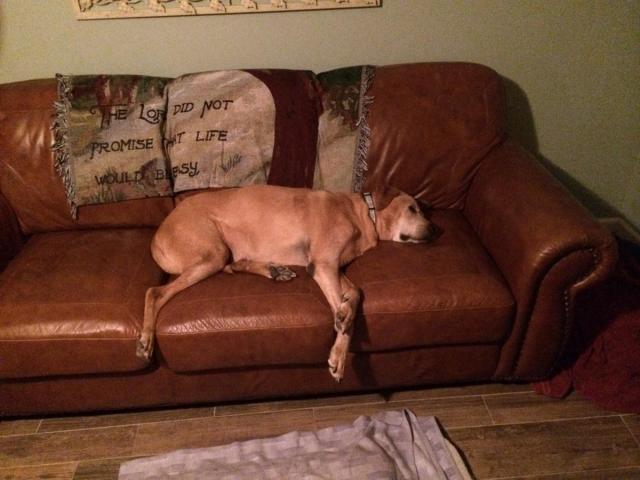 post-9187-0-33120700-1424035661_thumb.jp