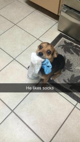 post-9187-0-54319200-1424035834_thumb.jp