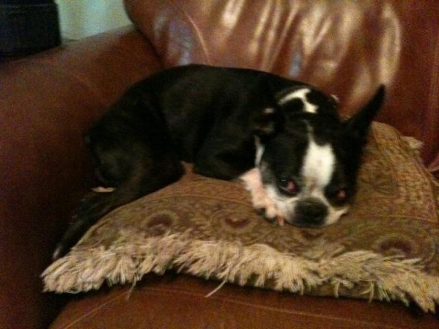 post-9187-0-78183300-1424035622_thumb.jp